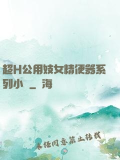 超H公用妓女精便器系列小說