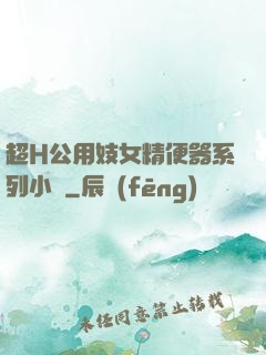超H公用妓女精便器系列小說