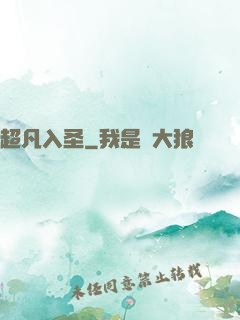 超凡入圣