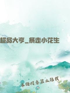 超品大亨