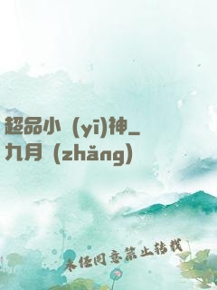 超品小醫(yī)神