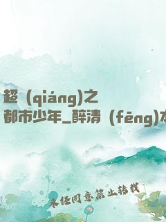 超強(qiáng)之都市少年