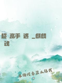 超級高手艷遇記