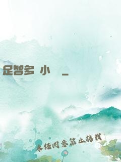 足智多謀小國師