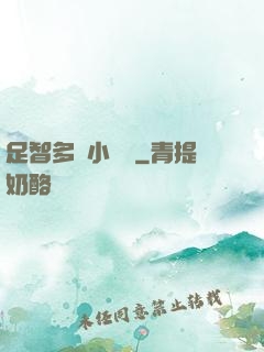 足智多謀小國師