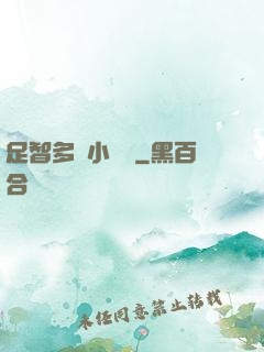 足智多謀小國師