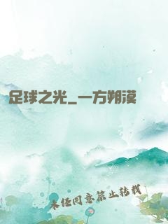 足球之光