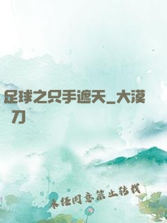 足球之只手遮天
