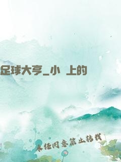 足球大亨
