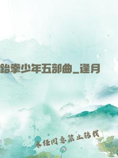 跆拳少年五部曲