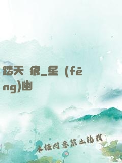 踏天無痕