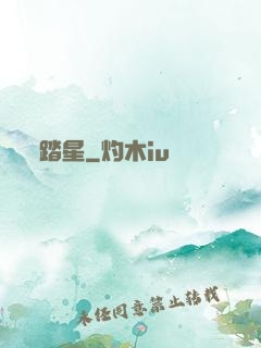 踏星