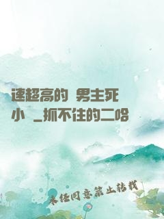 車速超高的雙男主死對頭小說