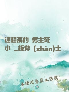 車速超高的雙男主死對頭小說