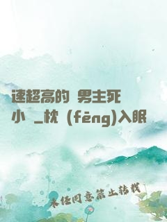 車速超高的雙男主死對頭小說