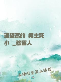 車速超高的雙男主死對頭小說