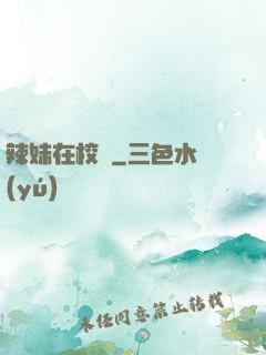 辣妹在校園