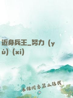 近身兵王