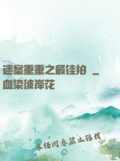 迷案重重之最佳拍檔