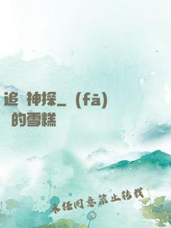 追兇神探
