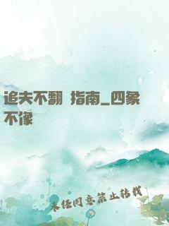 追夫不翻車指南