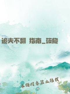 追夫不翻車指南