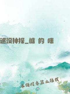 退役神探