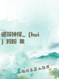 退役神探
