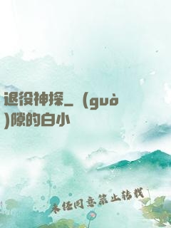 退役神探