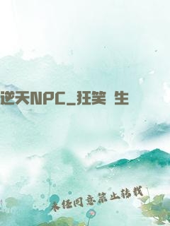 逆天NPC