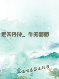 逆天丹神