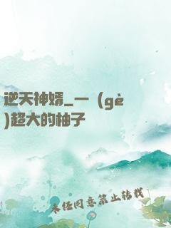 逆天神婿