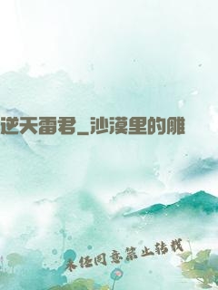 逆天雷君