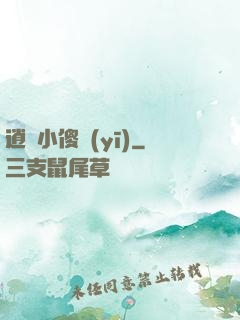 逍遙小傻醫(yī)