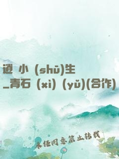 逍遙小書(shū)生