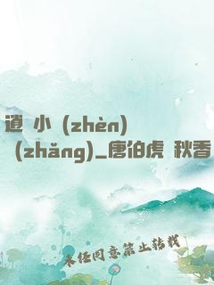 逍遙小鎮(zhèn)長(zhǎng)