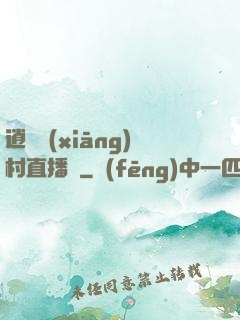 逍遙鄉(xiāng)村直播間