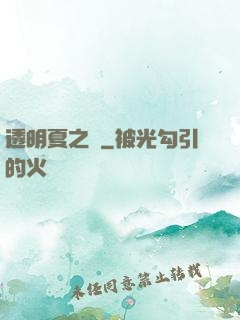 透明夏之戀