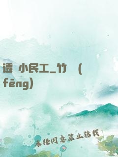透視小民工
