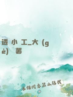 透視小礦工