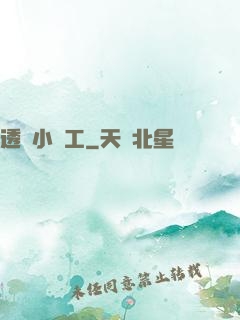 透視小礦工