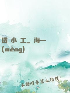 透視小礦工