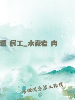 透視民工
