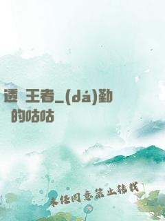 透視王者