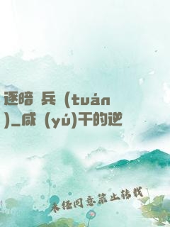 逐暗傭兵團(tuán)