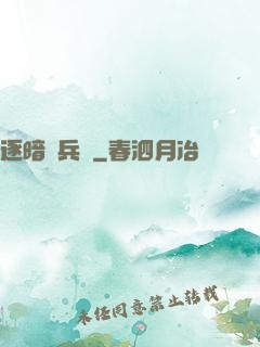 逐暗傭兵團