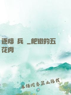 逐暗傭兵團