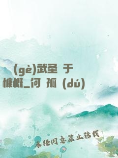 這個(gè)武圣過于慷慨