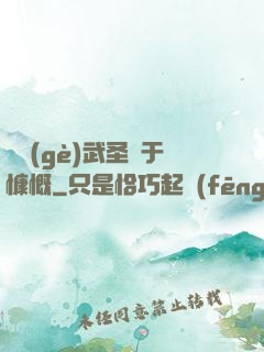 這個(gè)武圣過于慷慨