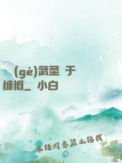 這個(gè)武圣過于慷慨